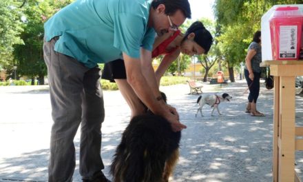 VACUNACIÓN ANTIRRÁBICA DE MASCOTAS