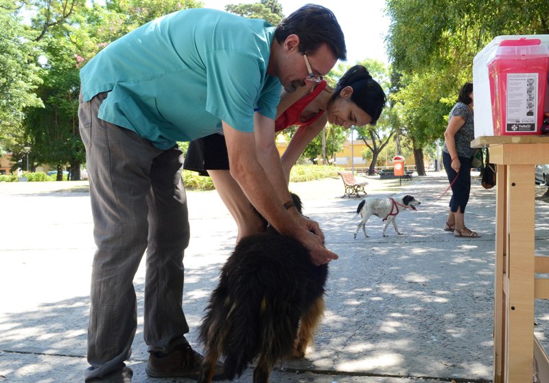 VACUNACIÓN ANTIRRÁBICA DE MASCOTAS