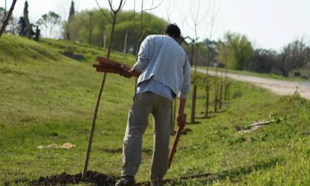 SEGUIMOS SUMANDO EN SUSTENTABILIDAD