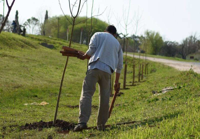 SEGUIMOS SUMANDO EN SUSTENTABILIDAD