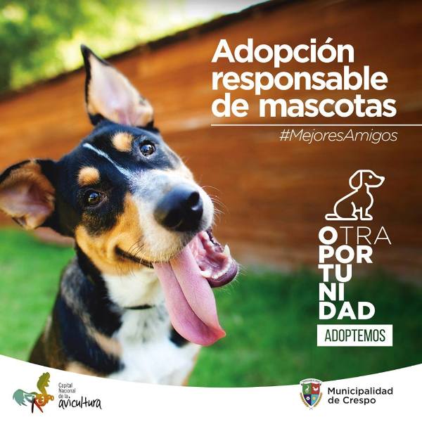 ADOPCIÓN DE MASCOTAS