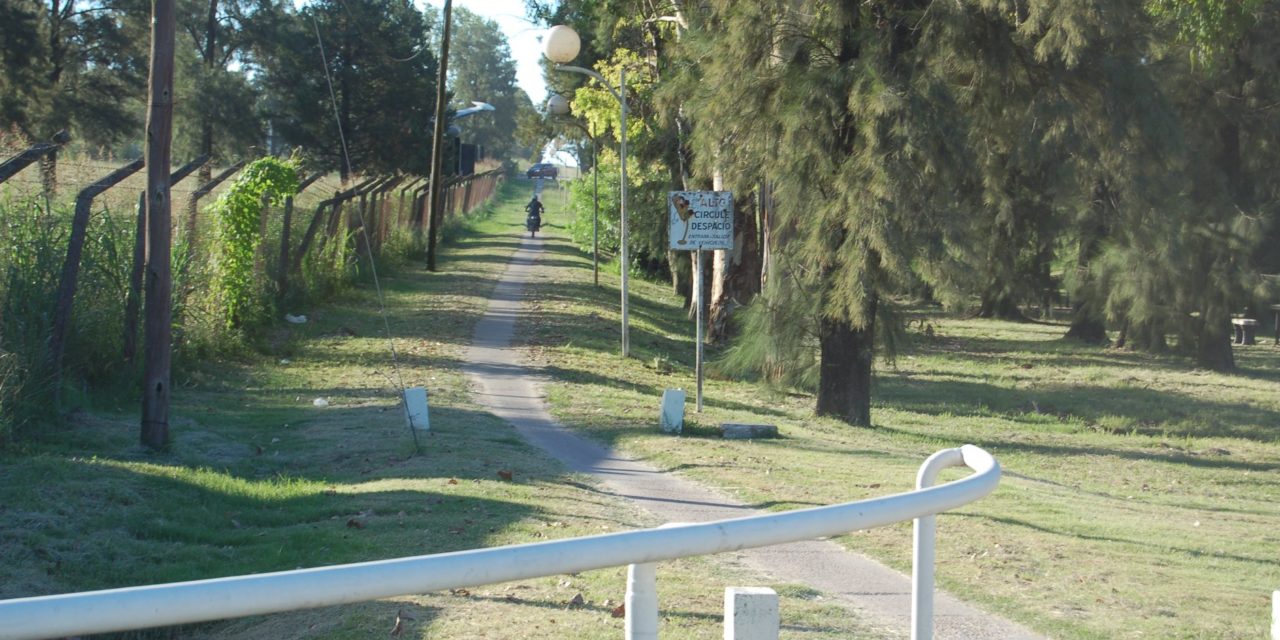 MAYOR SEGURIDAD VIAL