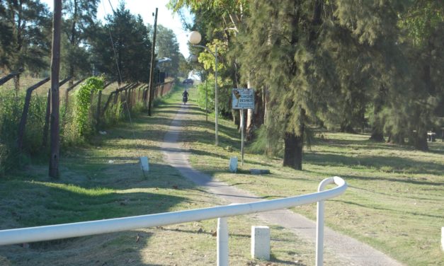 MAYOR SEGURIDAD VIAL