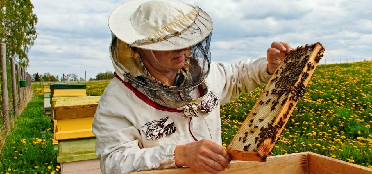 Charla para apicultores