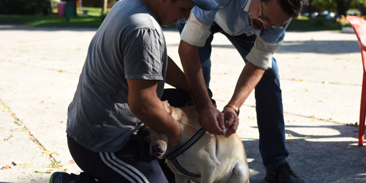 Salud Animal: Vacunación y Quirófano