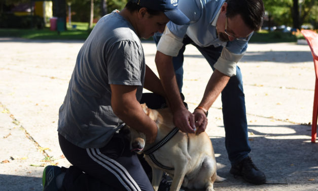 Salud Animal: Vacunación y Quirófano