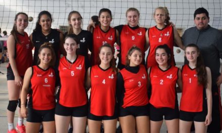 VOLEIBOL: JUGARON LIGA PROVINCIAL