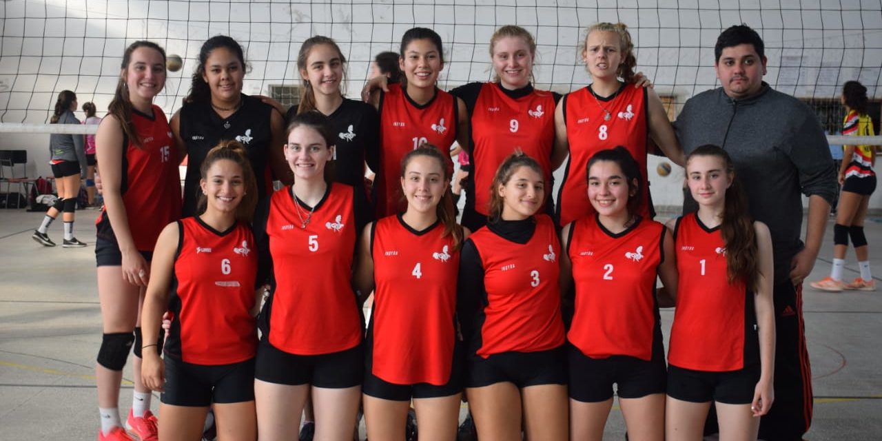 VOLEIBOL: JUGARON LIGA PROVINCIAL