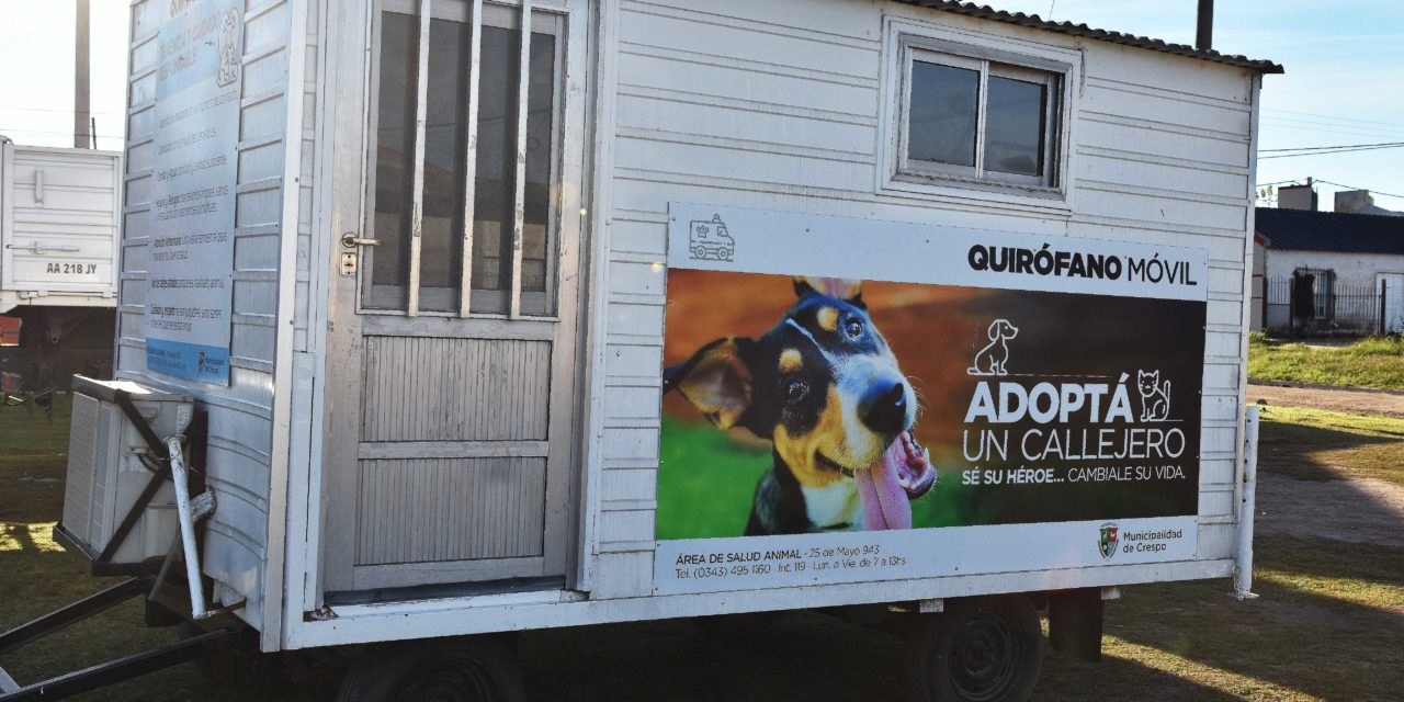 SALUD ANIMAL: UBICACIÓN DEL QUIRÓFANO MÓVIL