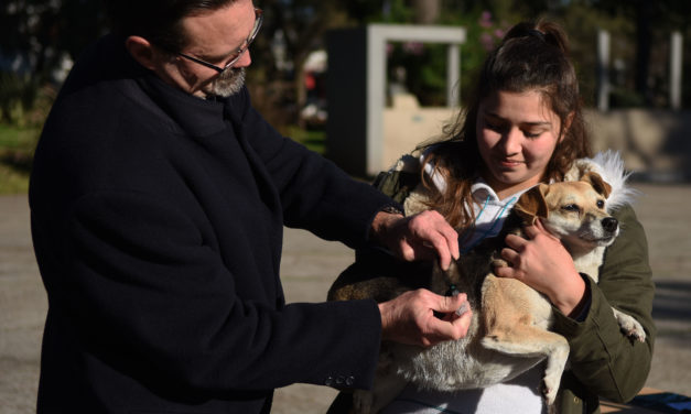 SALUD ANIMAL: VACUNACIÓN Y QUIRÓFANO MÓVIL