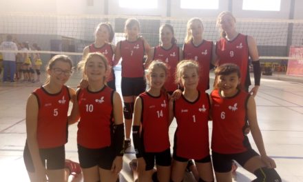 VOLEIBOL: ACTIVIDAD PARA TODAS LAS EDADES