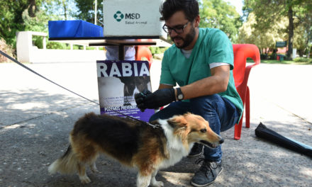 LA VACUNACIÓN ANTIRRÁBICA LLEGA A LOS BARRIOS