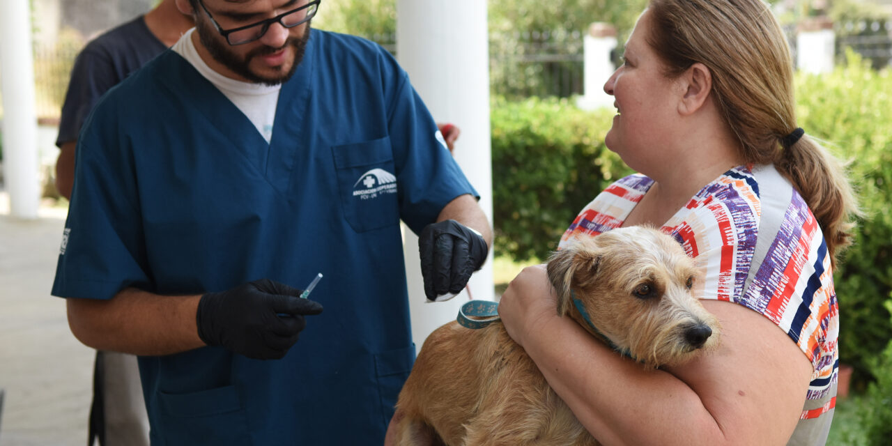 EN JUNIO RETORNARÁ LA CAMPAÑA DE VACUNACIÓN ANTIRRÁBICA PARA PERROS Y GATOS EN LOS BARRIOS