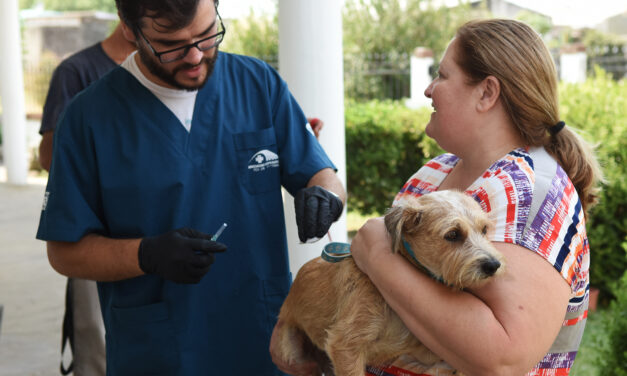 EN JUNIO RETORNARÁ LA CAMPAÑA DE VACUNACIÓN ANTIRRÁBICA PARA PERROS Y GATOS EN LOS BARRIOS