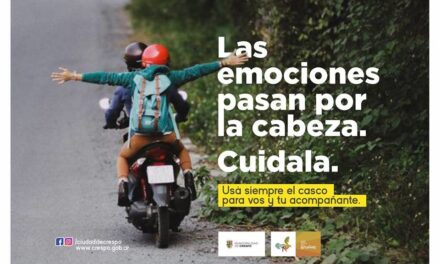 SEIS RETENCIONES EN OPERATIVOS DE PREVENCIÓN VIAL