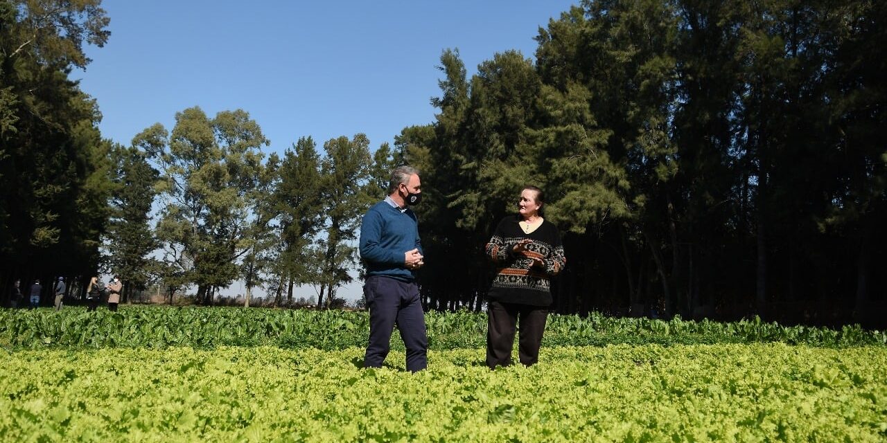 SE COSECHARÁN MÁS DE 1000 KILOGRAMOS DE VERDURAS EN LA HUERTA AGROECOLÓGICA DEL PARQUE LOS PARAÍSOS