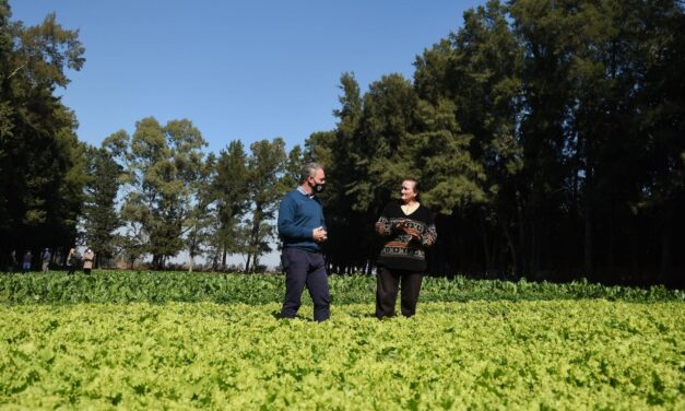 SE COSECHARÁN MÁS DE 1000 KILOGRAMOS DE VERDURAS EN LA HUERTA AGROECOLÓGICA DEL PARQUE LOS PARAÍSOS