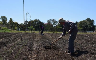 DIEZ FAMILIAS COMENZARON EL SEGUNDO PROYECTO DE HUERTA AGROECOLÓGICA EN CRESPO