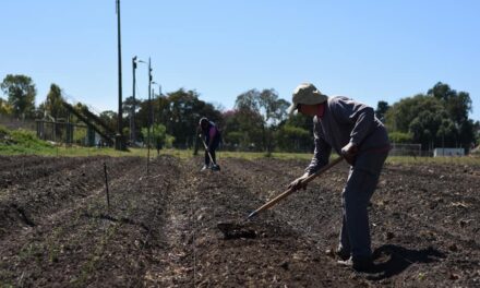 DIEZ FAMILIAS COMENZARON EL SEGUNDO PROYECTO DE HUERTA AGROECOLÓGICA EN CRESPO