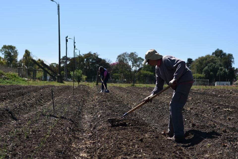 DIEZ FAMILIAS COMENZARON EL SEGUNDO PROYECTO DE HUERTA AGROECOLÓGICA EN CRESPO