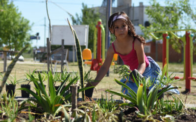 CUIDANDO LA PLAZA LOMA LINDA