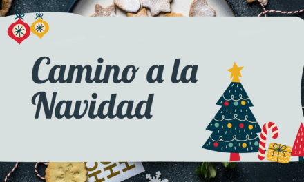 CAMINO A LA NAVIDAD