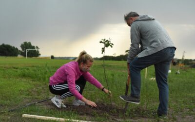 PLAN DE FORESTACIÓN EN EL TIRO FEDERAL, PARA BENEFICIAR LA ECOLOGÍA Y CUIDAR EL AMBIENTE