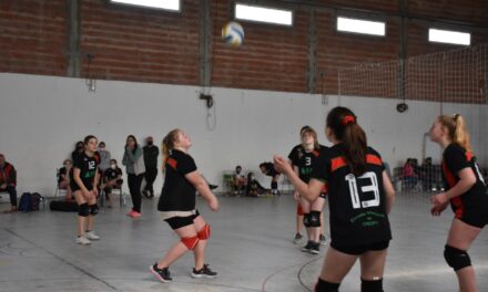 VOLEIBOL: VOLVIÓ LA ACTIVIDAD