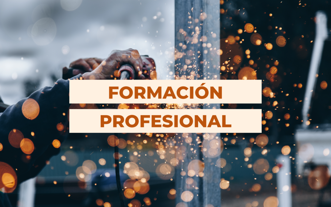 DOS NUEVAS PROPUESTAS DE FORMACIÓN PROFESIONAL