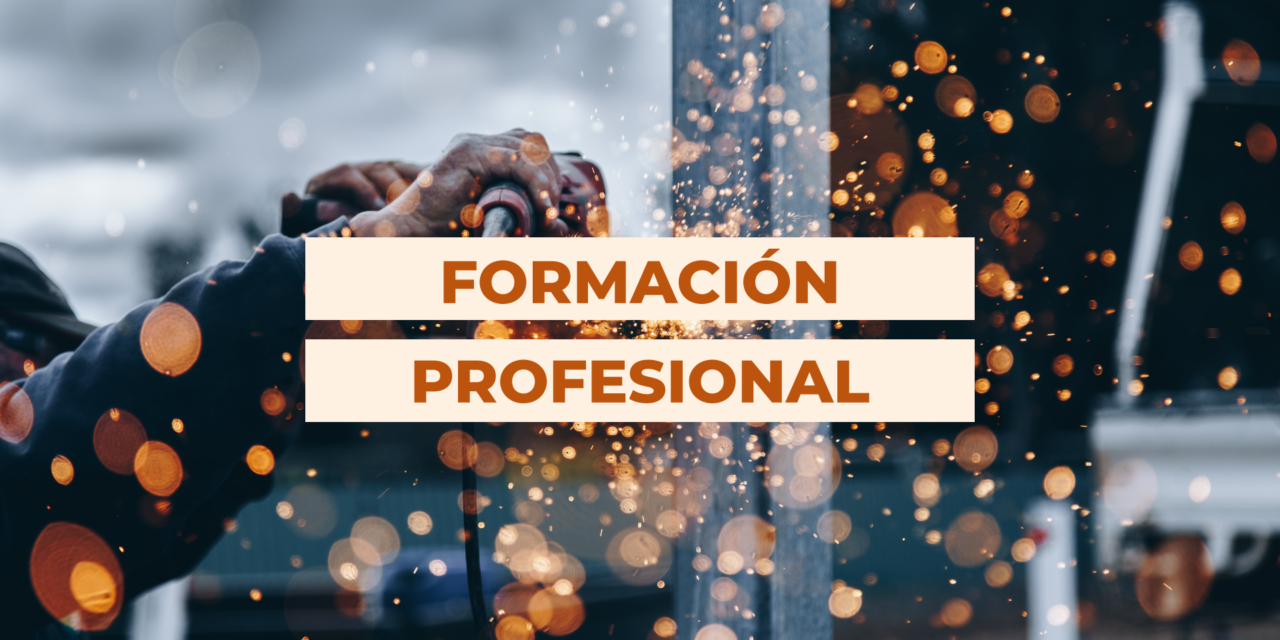 DOS NUEVAS PROPUESTAS DE FORMACIÓN PROFESIONAL