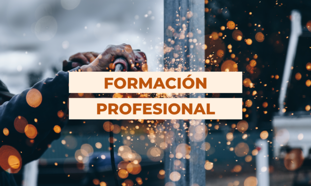 DOS NUEVAS PROPUESTAS DE FORMACIÓN PROFESIONAL