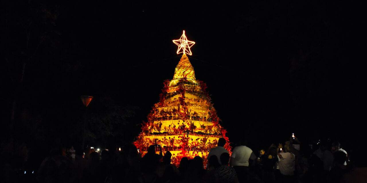 los crespenses hicimos EL ÁRBOL navideño QUE REPRESENTA NUESTROS VALORES