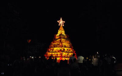 los crespenses hicimos EL ÁRBOL navideño QUE REPRESENTA NUESTROS VALORES