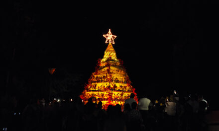 los crespenses hicimos EL ÁRBOL navideño QUE REPRESENTA NUESTROS VALORES