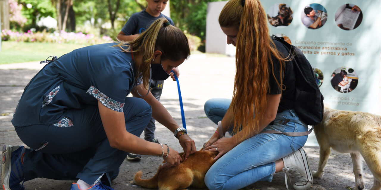 SALUD ANIMAL: AGENDÁ LAS PRÓXIMAS FECHAS DE VACUNACIÓN ANTIRRÁBICA Y UBICACIONES DEL QUIRÓFANO MÓVIL