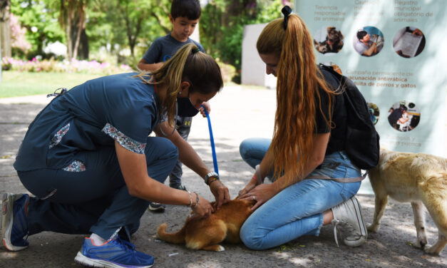 SALUD ANIMAL: AGENDÁ LAS PRÓXIMAS FECHAS DE VACUNACIÓN ANTIRRÁBICA Y UBICACIONES DEL QUIRÓFANO MÓVIL