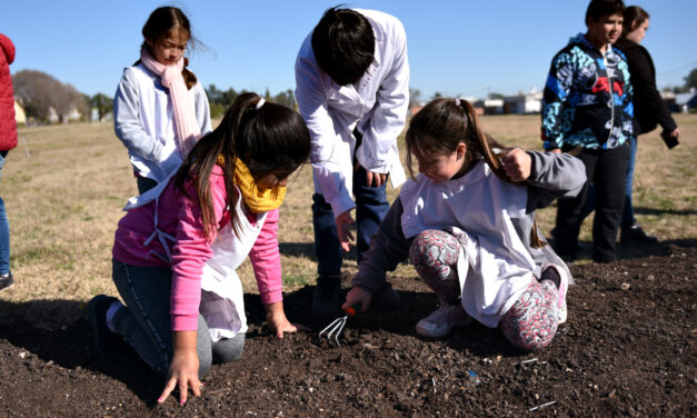 NUEVAS PLANTACIONES EN EL ‘CORREDOR VERDE’