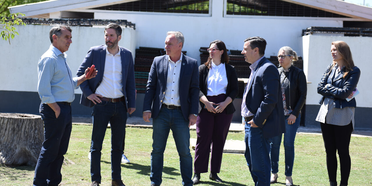 GESTIONES POR ESCUELA DE NIVEL INICIAL Y CENTRO DE EDUCACIÓN FÍSICA