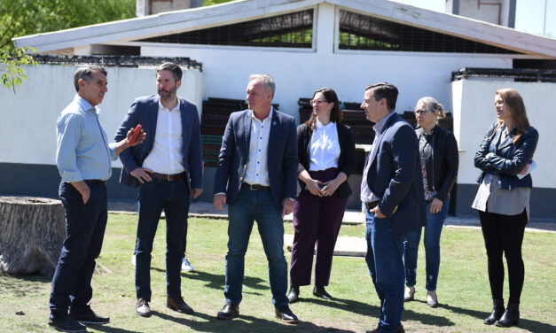 GESTIONES POR ESCUELA DE NIVEL INICIAL Y CENTRO DE EDUCACIÓN FÍSICA