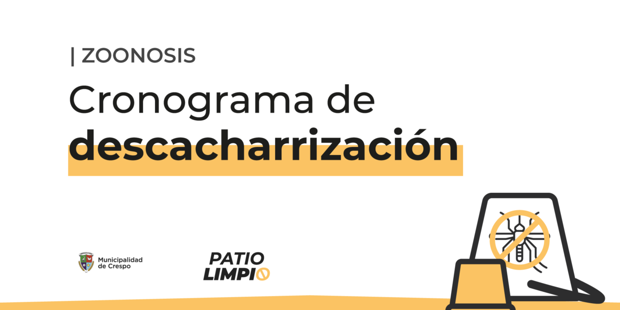 PATIO LIMPIO: CRONOGRAMA DE DESCACHARRIZACIÓN