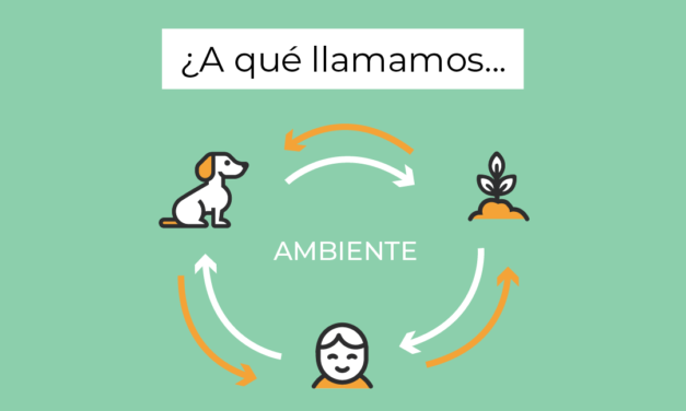 Día Mundial de las Zoonosis: ProtegeMOS la salud de animales y humanos