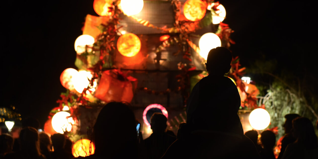 LAS LUCES DEL ÁRBOL navideño ILUMINAN EL CAMINO