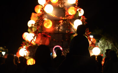 LAS LUCES DEL ÁRBOL navideño ILUMINAN EL CAMINO