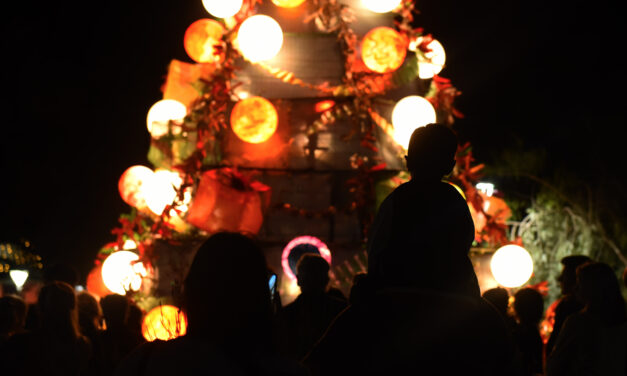 LAS LUCES DEL ÁRBOL navideño ILUMINAN EL CAMINO