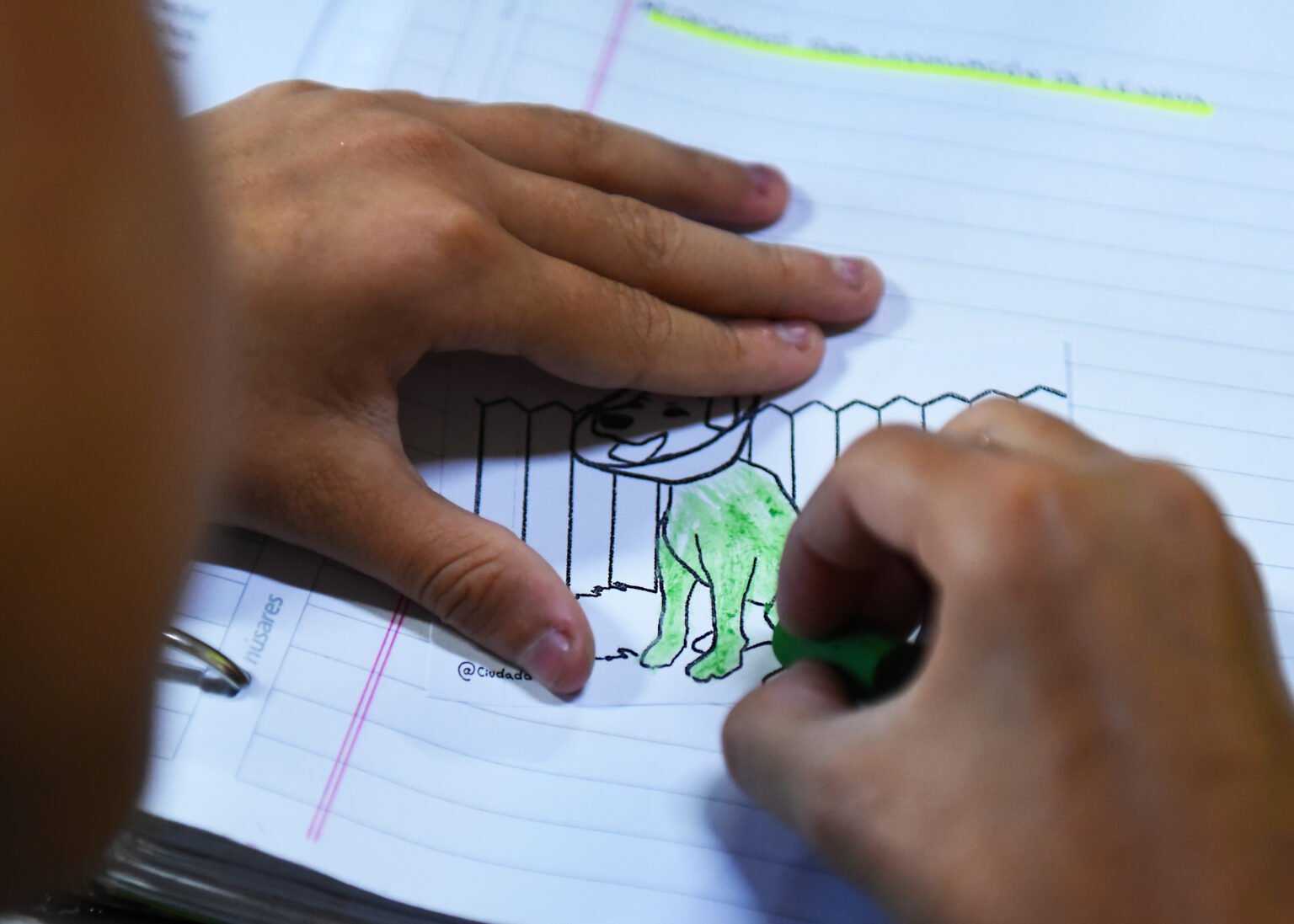 cuidadoresponsable-1-1536x1097