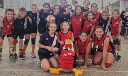 VOLEIBOL: ACTUALIDAD DE LA ESCUELA MUNICIPAL