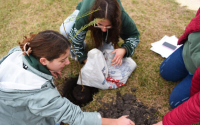 DÍA MUNDIAL DEL AMBIENTE: FORESTACIÓN EN ‘PLAZA DEL PROGRESO’