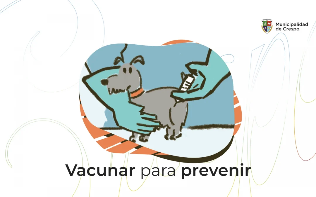 La vacunación es la mejor prevención para nuestraS mascotas