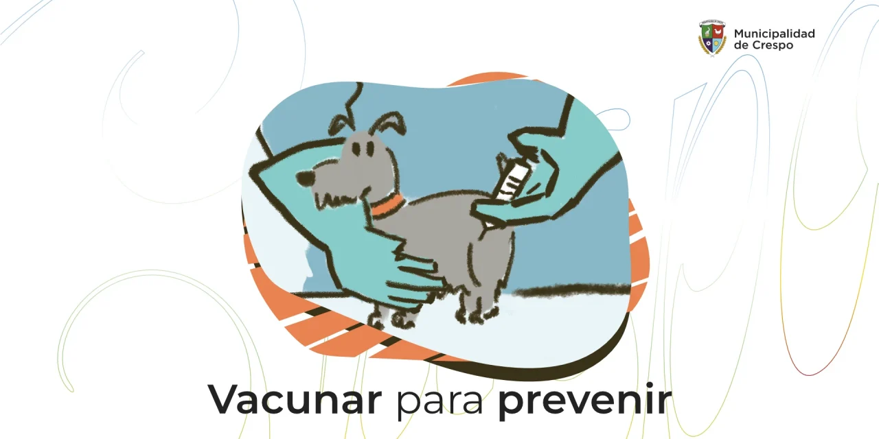 La vacunación es la mejor prevención para nuestraS mascotas