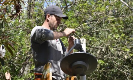 COLOCAMOS NUEVAS LUMINARIAS LED EN EL SECTOR DE PARRILLAS EN EL PARQUE DEL LAGO